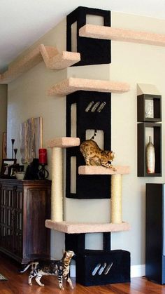 a cat sitting on top of a scratching tower