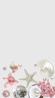 seashells, starfish and pearls on a white background with space for text