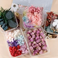 four plastic containers filled with different types of flowers