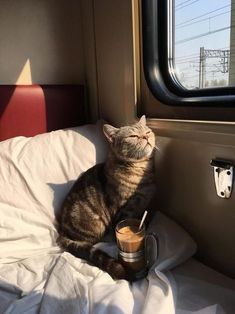 a cat sitting on top of a bed next to a cup with a straw in it