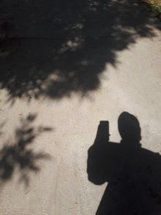 the shadow of a person holding a cell phone