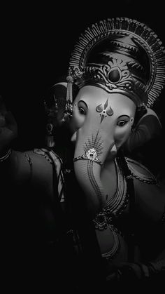 black and white photograph of an elephant with decorations on its face, in front of a dark background