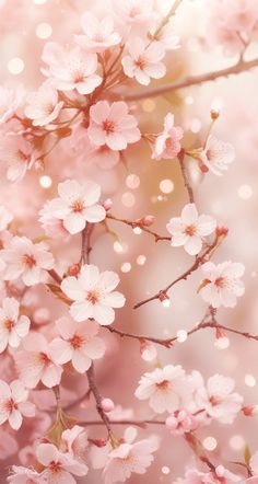 pink flowers are blooming on the branches in front of a blurry light background