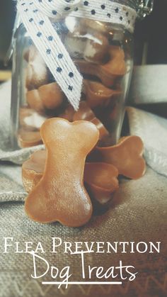 a jar filled with dog treats sitting on top of a table next to a ribbon