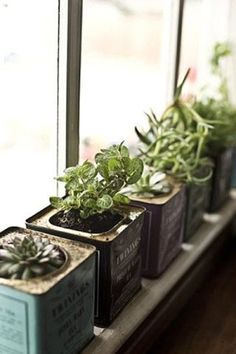 some plants are sitting in small pots on a window sill