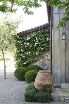 a stone wall with white flowers growing on it next to a potted planter