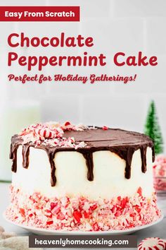 a chocolate peppermint cake with white frosting and sprinkles