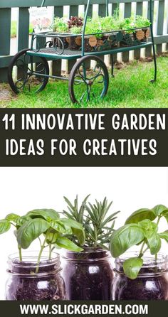 some plants are growing in mason jars with the words, 11 innovative garden ideas for creatives