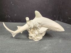 a sculpture of a shark on top of a skull