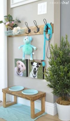 two dogs are hanging on the wall in this living room with blue rugs and potted plants