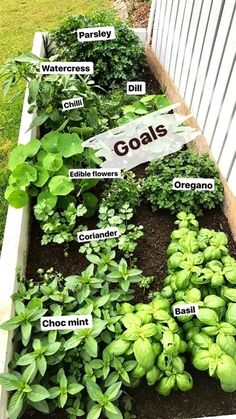 a garden filled with lots of different types of plants and vegetables that are labeled in the word goals