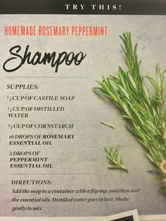 Diy Rosemary Hair Spray, Herbalist Medicine, Diy Nettle Shampoo, Diy Rosemary Mint Shampoo, Rosemary In Shampoo, Rosemary Oil In Shampoo, Homemade Shampoo And Conditioner, Essential Oil Hair, Peppermint Shampoo