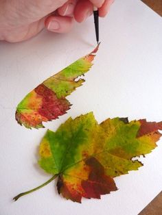 someone is painting leaves with watercolors on paper