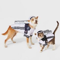 two dogs and a cat are dressed up in space suits while standing next to each other