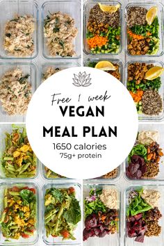 the meal plan for vegan meal prep