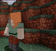 a minecraft character standing in front of a stone wall with green and brown tiles