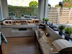 a kitchen filled with lots of counter top space next to a window covered in plants