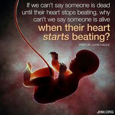 Life begins at conception!! Seven Days Of Creation, Pastor John Hagee, John Hagee, Respect Life, Baby Heart, Life Matters, Days Of Creation, Life Is Precious, Beating Heart