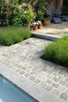 an outdoor swimming pool surrounded by greenery