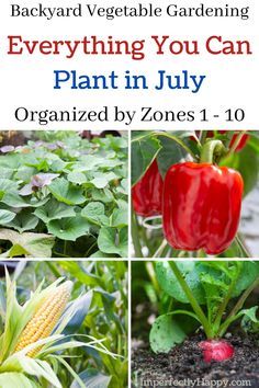 several pictures of vegetables and plants with the title backyard vegetable gardening everything you can plant in july organized by zones 1 - 10