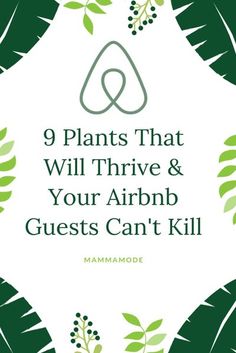 the words 9 plants that will thrive and your airbn guests can't kill