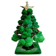 a small green christmas tree with pom - poms on it's base