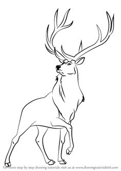 a deer with large antlers on it's head