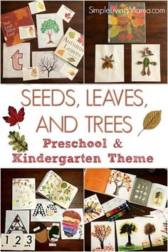 seeds, leaves and trees preschool and kindergarten theme