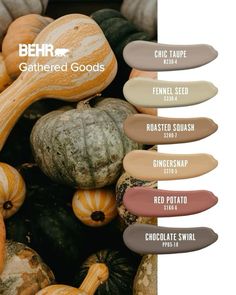 Behr paint, squash insiration. Boho Decor Ideas, House Color Palettes, Behr Paint, Color Schemes Colour Palettes, House Color Schemes, Color Chip, Color Palate