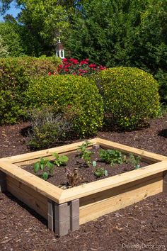 a raised garden bed with plants growing in it