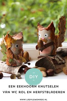 two paper owls made out of leaves and nuts with the words diy written in german