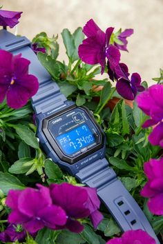 Custom Casio 'ocean King' Mod Blue Casio WS1600 Digital Modified Watch Hydromod and Custom Blue Polarized Screen JDM Model - Etsy Croatia Wrist Watches, Jdm, Croatia, Wrist Watch, Electronic Accessories, Screen, Purses And Bags, Music Clothes, Blue