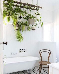 a bathroom with plants hanging from the ceiling and a bathtub in front of it