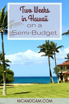 a house with palm trees and the words two weeks in hawaii on a semi - budget