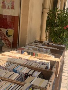 several wooden boxes filled with books sitting on the side of a building next to a potted plant