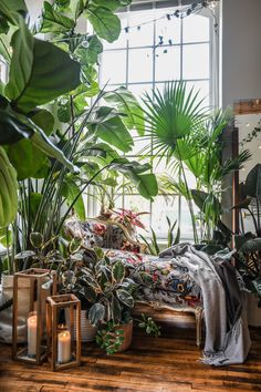 a room filled with lots of potted plants next to a window and a bed