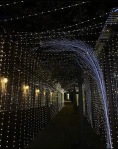 the walkway is covered with hundreds of lights