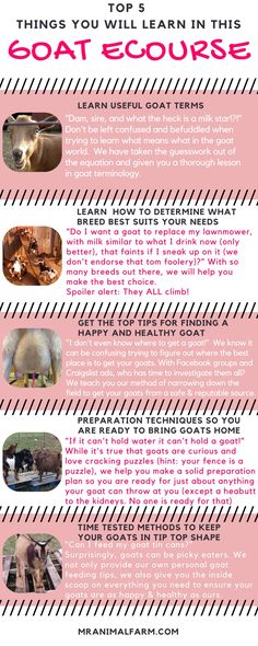 a pink poster with pictures of animals and text that says things you will learn in this goat enclosure