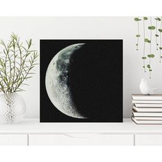 a black and white photo of the moon on a shelf next to some books, plants and vases