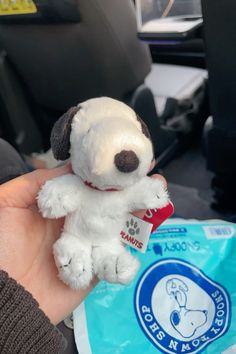 a person holding a small white stuffed animal in their left hand, with the dog tag on it's collar