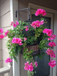 pink flowers hanging from a birdcage in front of a house door with green leaves