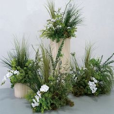 three white vases filled with plants and greenery