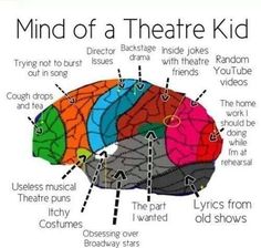 the parts of a theatre kid's brain labeled in different colors and words, including names