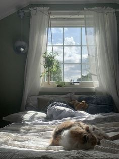 an orange and white cat laying on top of a bed in front of a window