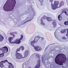 Hematology Aesthetic, Pathology Aesthetic, Hematology Art, Biology Painting, Aesthetic Backgrounds Horizontal, Cell Art, T Cells, Wallpaper Horizontal