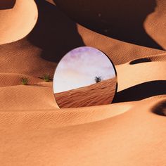 a mirror reflecting a lone tree in the desert