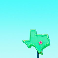 a green street sign with the shape of texas painted on it's side in front of a blue sky