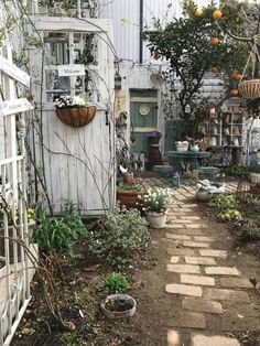 a garden filled with lots of plants next to a white building and some potted plants