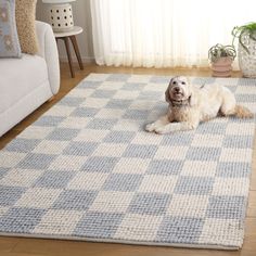 a white dog laying on top of a rug in a living room