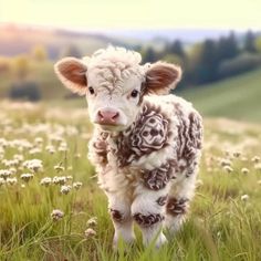 a baby cow standing in the middle of a grassy field with flowers on it's side